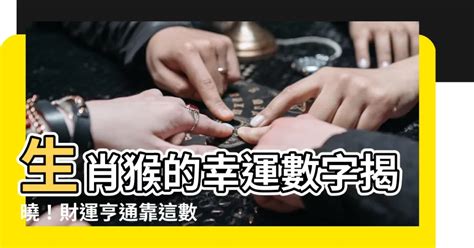 屬猴幸運數字|屬猴的幸運數字是什麼？全面解析及運用指南